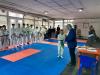 СУДЕЙСКИЙ СЕМИНАР ПО "ТХЭКВОНДО ITF"